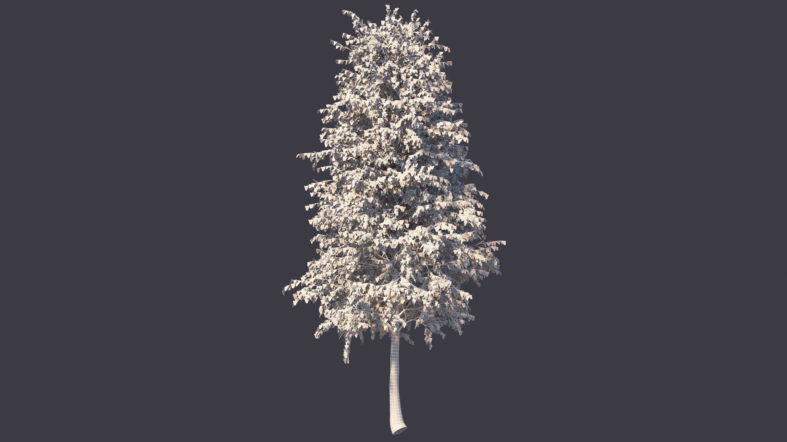 Autumn and summer birches 3D model_12
