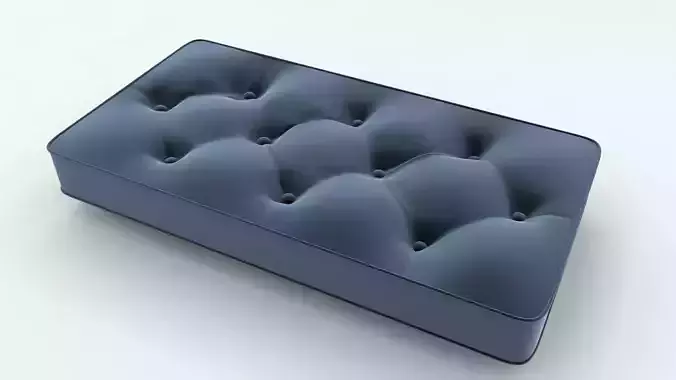Tufted Cushion 3D model