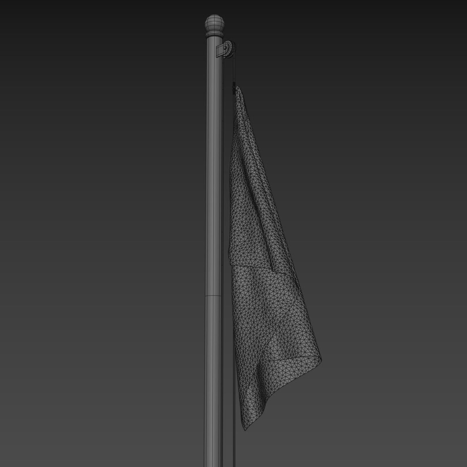 Pirate Flag 3D model_14