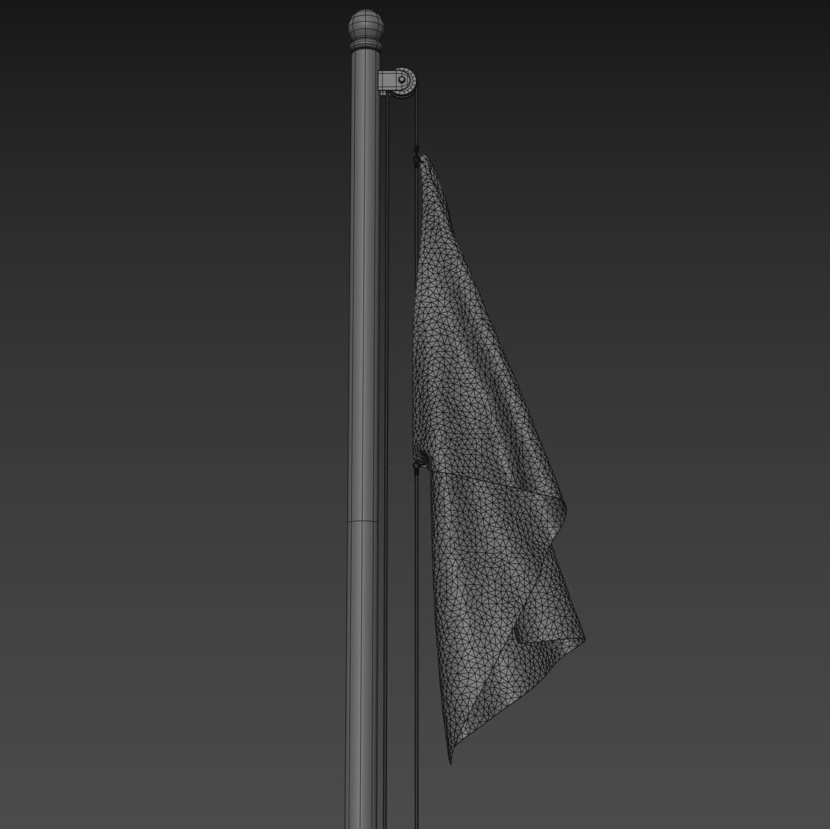 Pirate Flag 3D model_12
