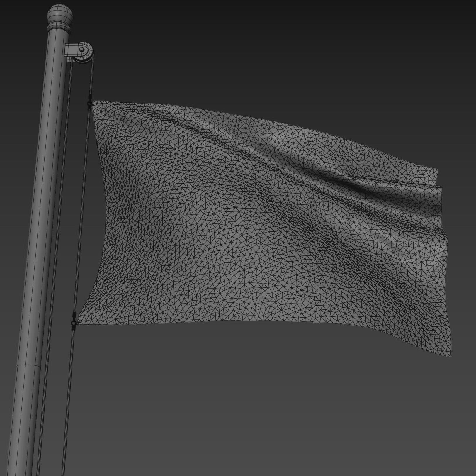 Pirate Flag 3D model_4