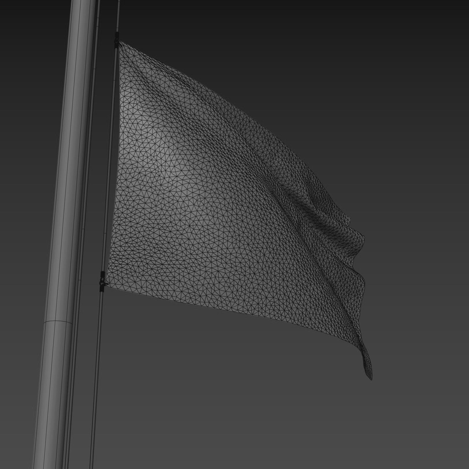 Pirate Flag 3D model_6