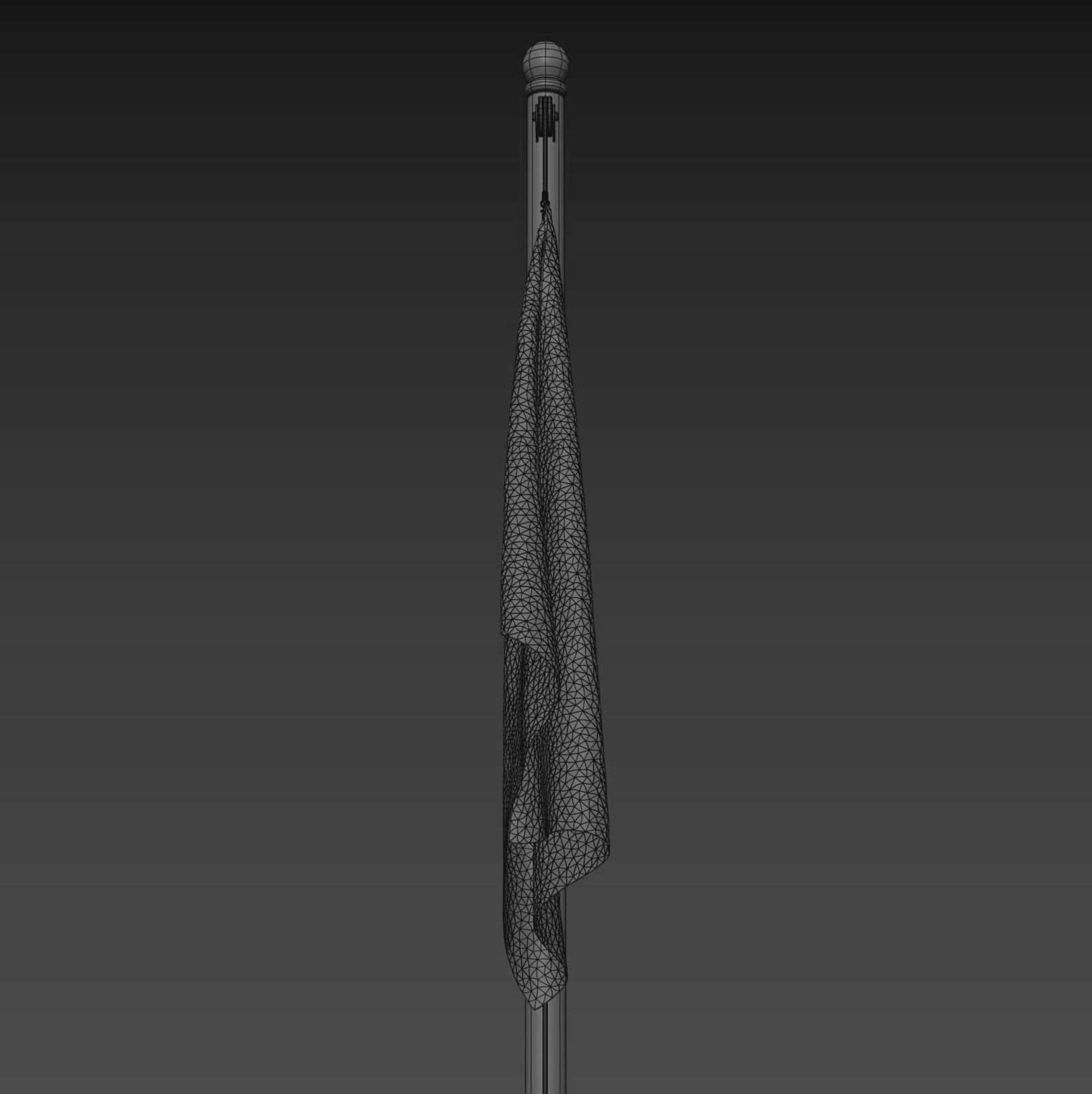 Pirate Flag 3D model_16