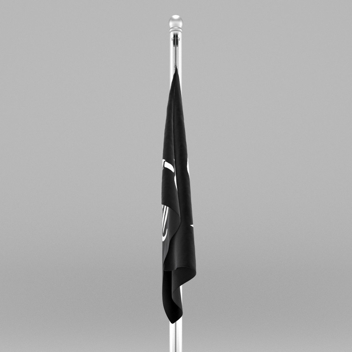 Pirate Flag 3D model_15