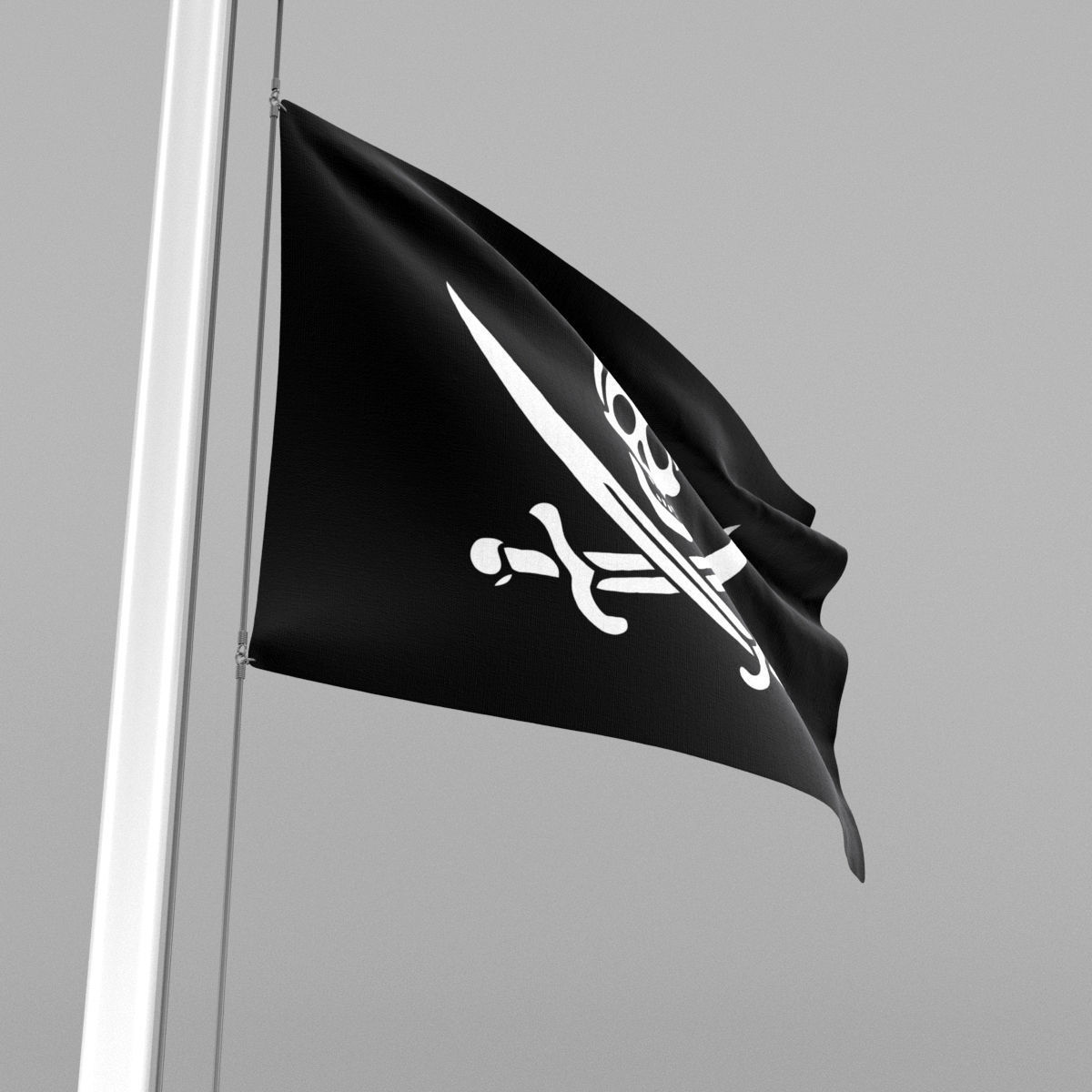 Pirate Flag 3D model_5