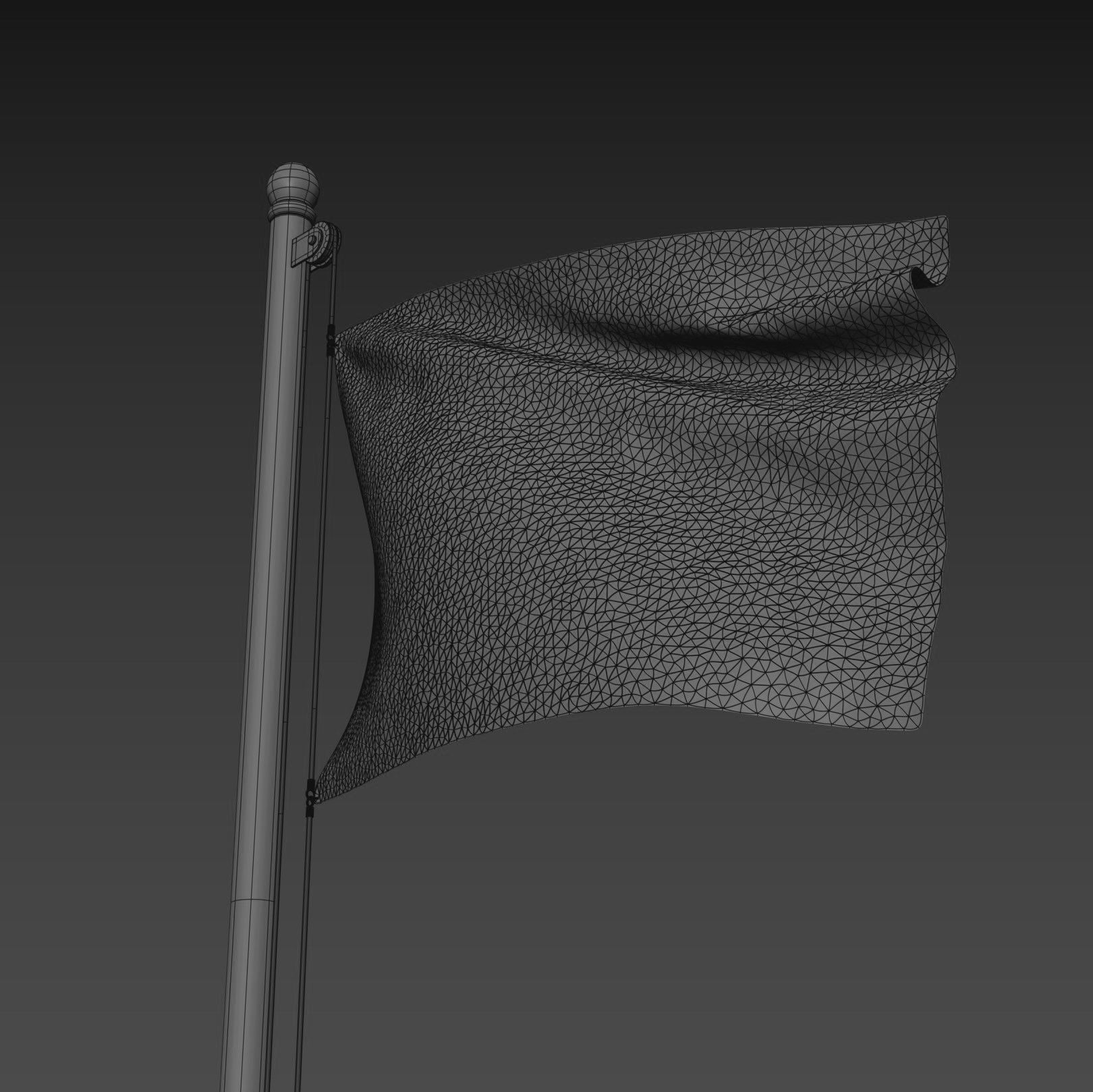 Pirate Flag 3D model_2