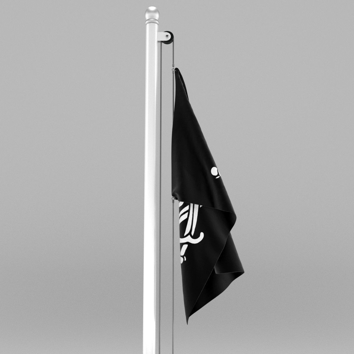 Pirate Flag 3D model_11