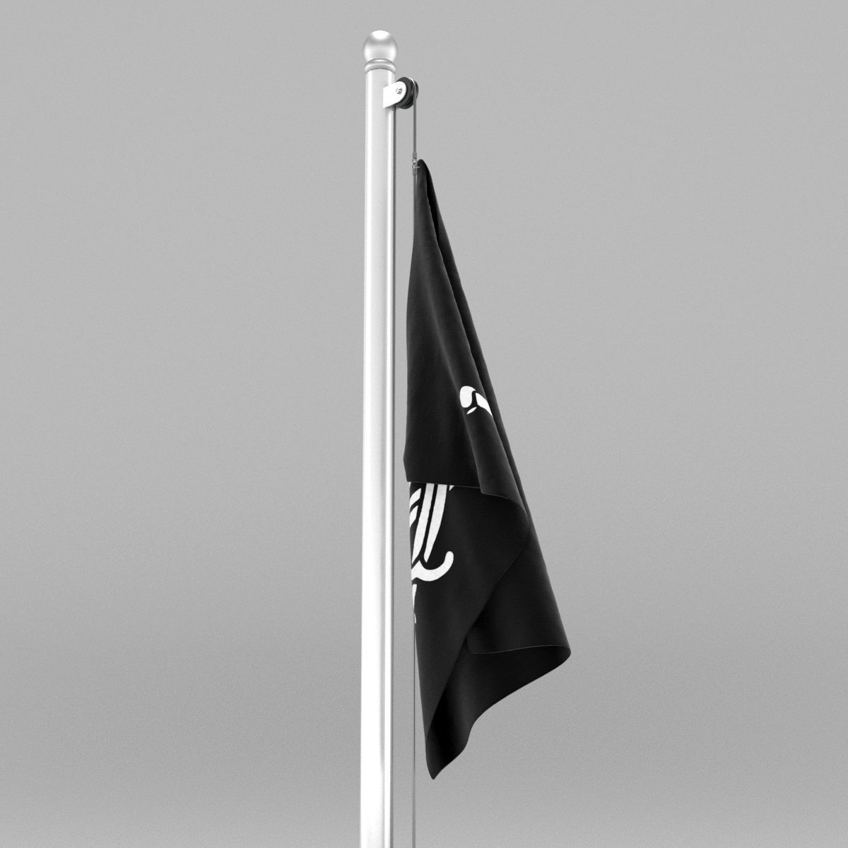 Pirate Flag 3D model_13