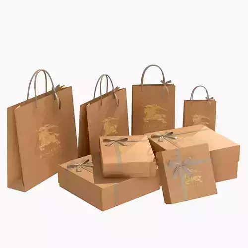 Burberry Gift Packaging Boxes and Paper Bags 3D model