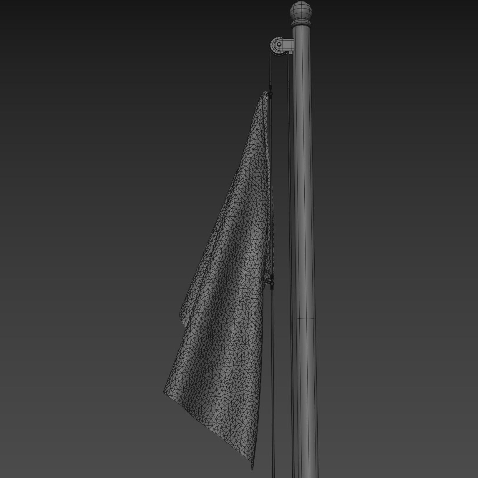 Flag of United States of America 3D model_16