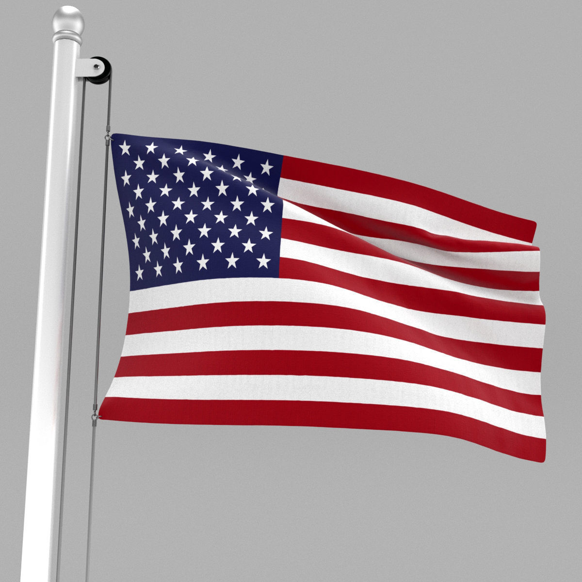 Flag of United States of America 3D model_3