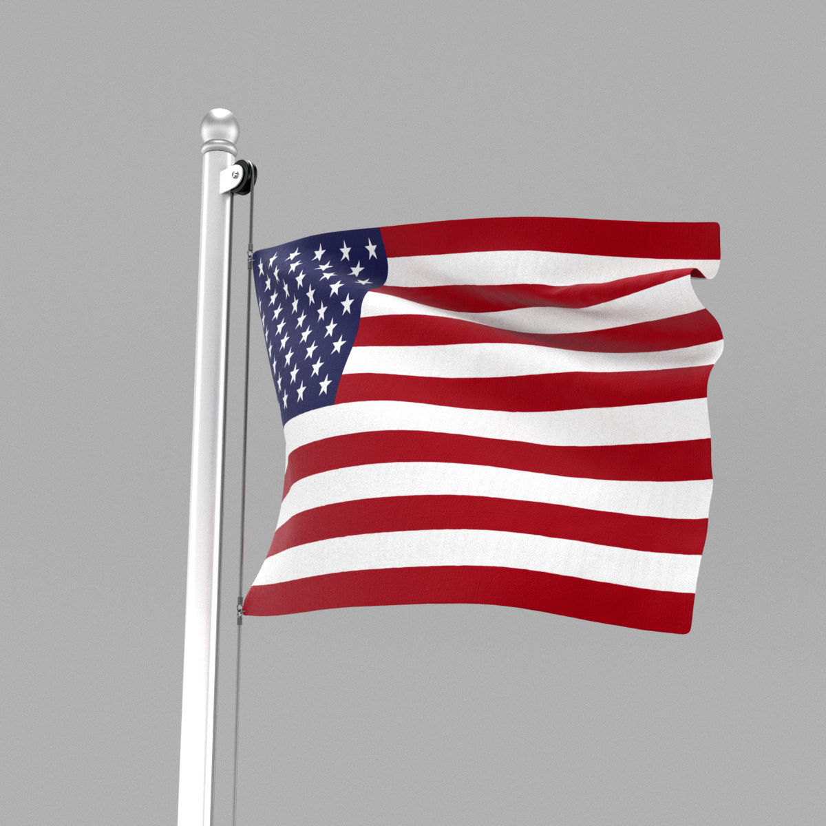 Flag of United States of America 3D model_1