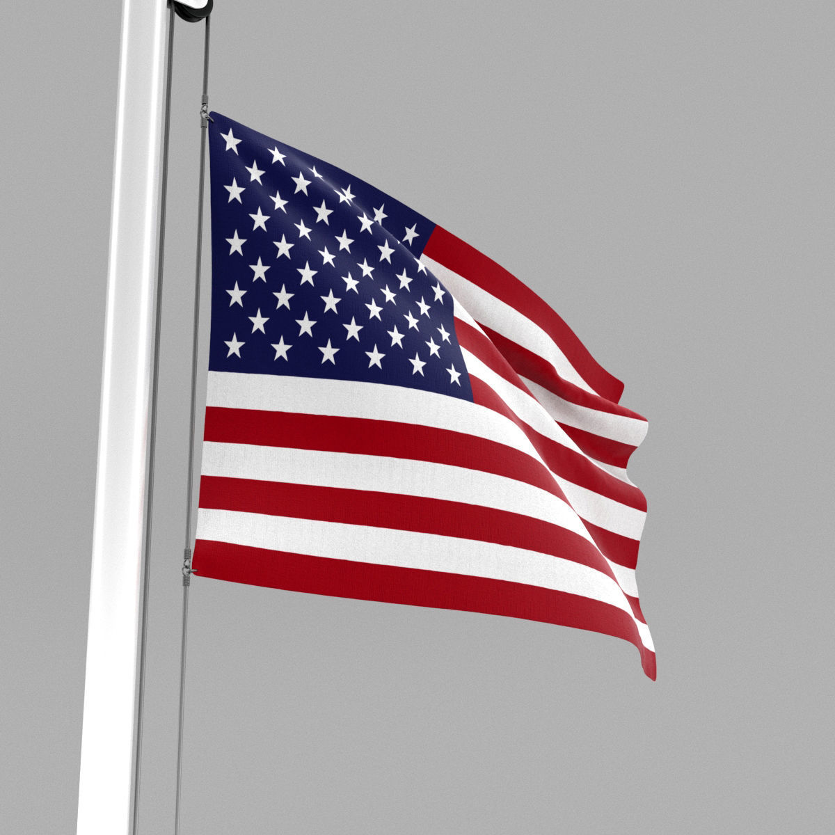 Flag of United States of America 3D model_5