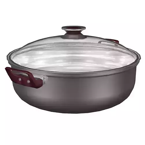 Pot 2 stainless steel with handles