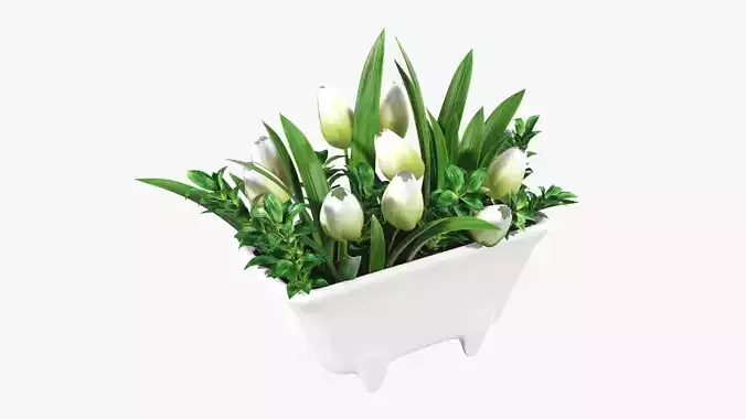 Tulips in bathtub composition