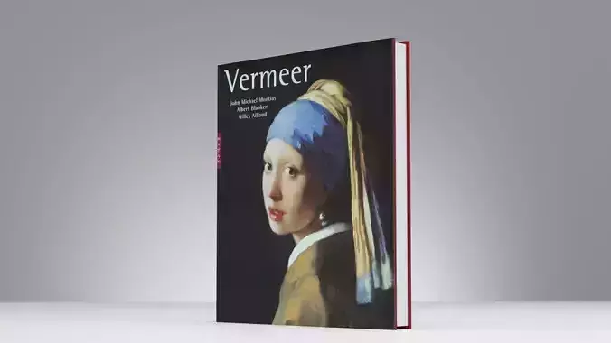 Book Vermeer Painter Artist