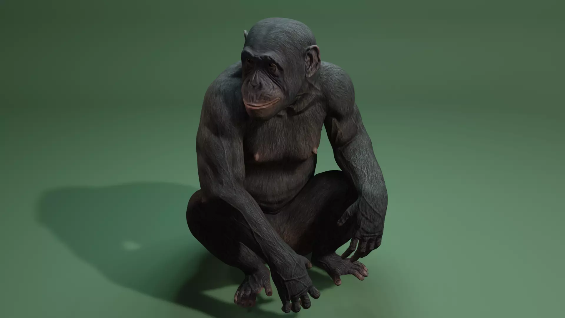 Gorilla Monkey 3D Model Ape 3D model_0