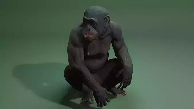 Gorilla Monkey 3D Model Ape