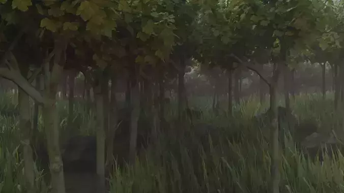 Realistic Forest 3D model download foggy with trees and grass