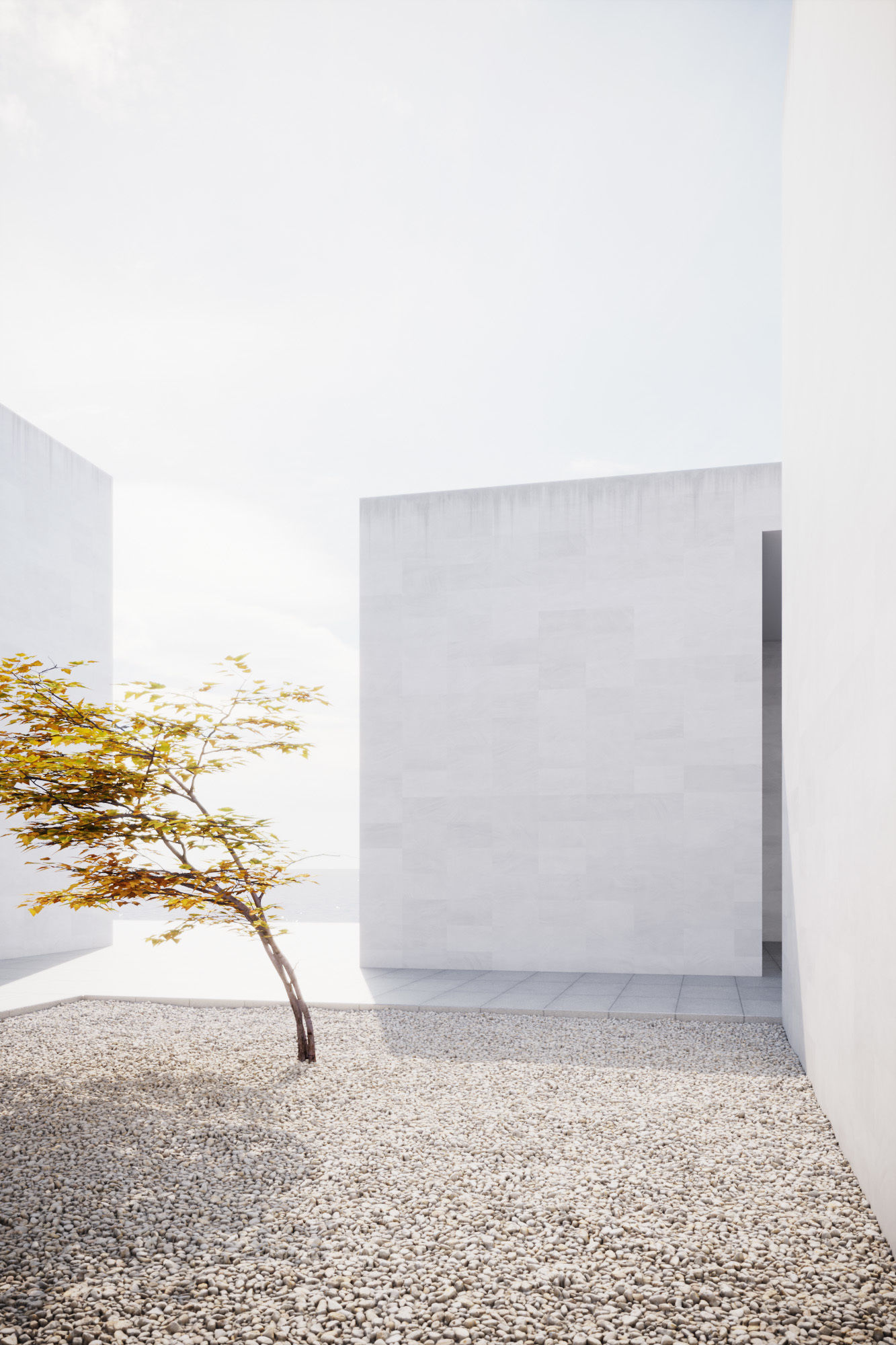 Small Autumn tree vpt028 3D model_1