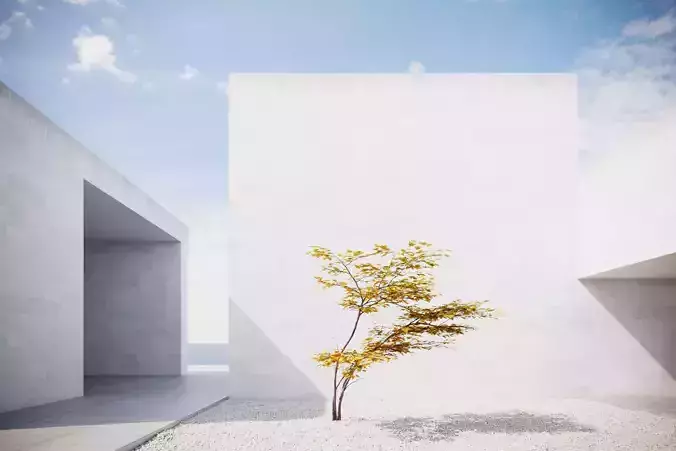 Small Autumn tree vpt028 3D model