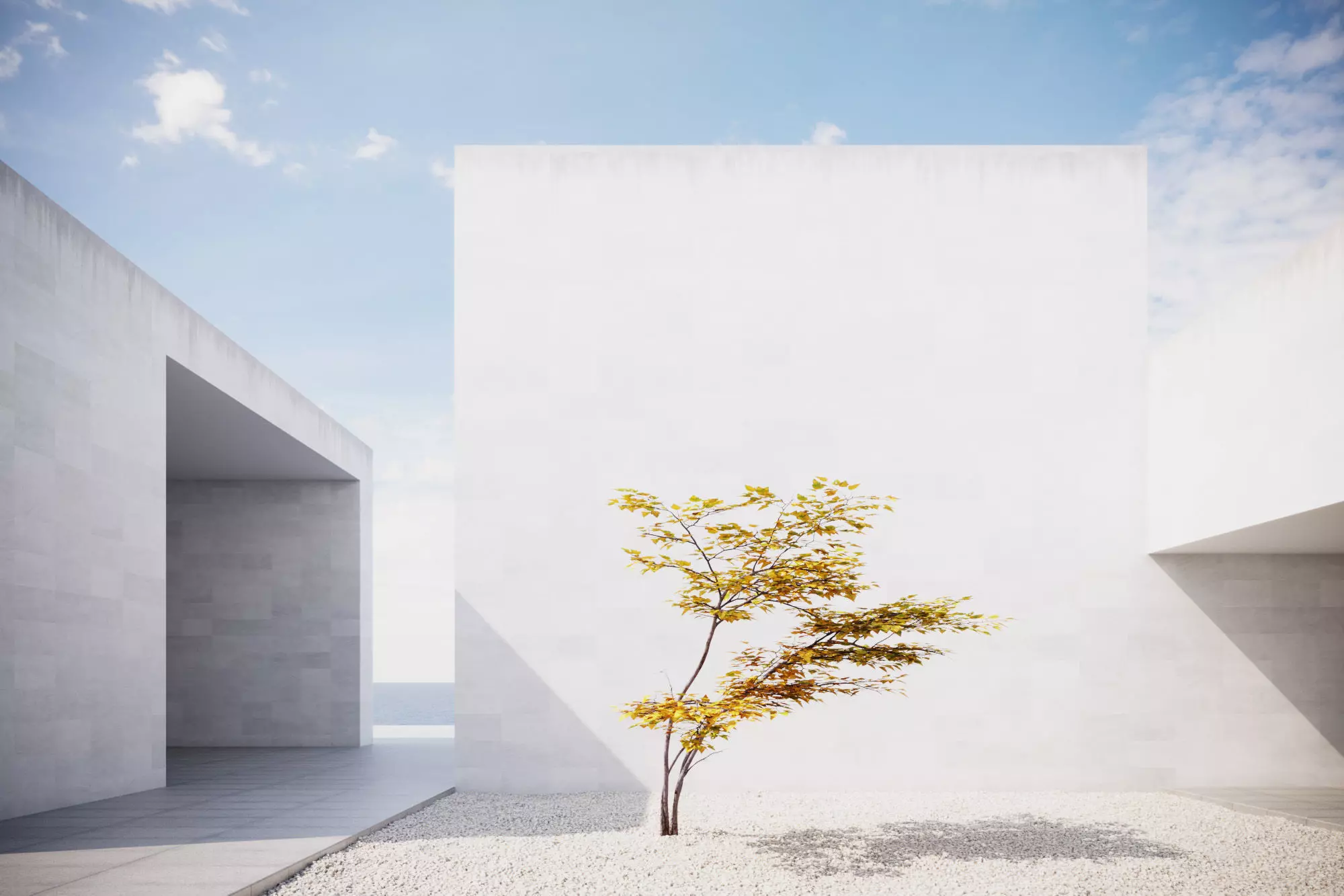 Small Autumn tree vpt028 3D model_0