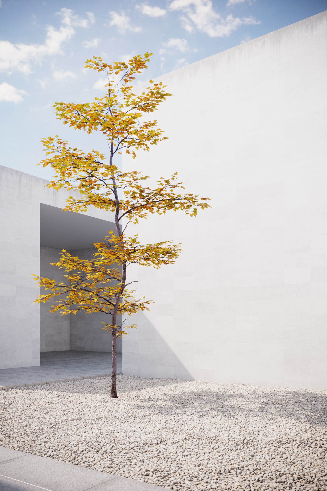 Small Autumn tree vpt026 3D model_3