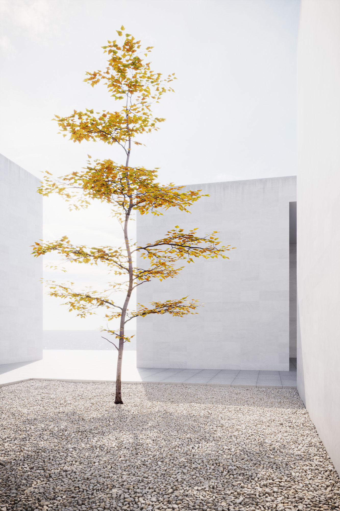 Small Autumn tree vpt026 3D model_2