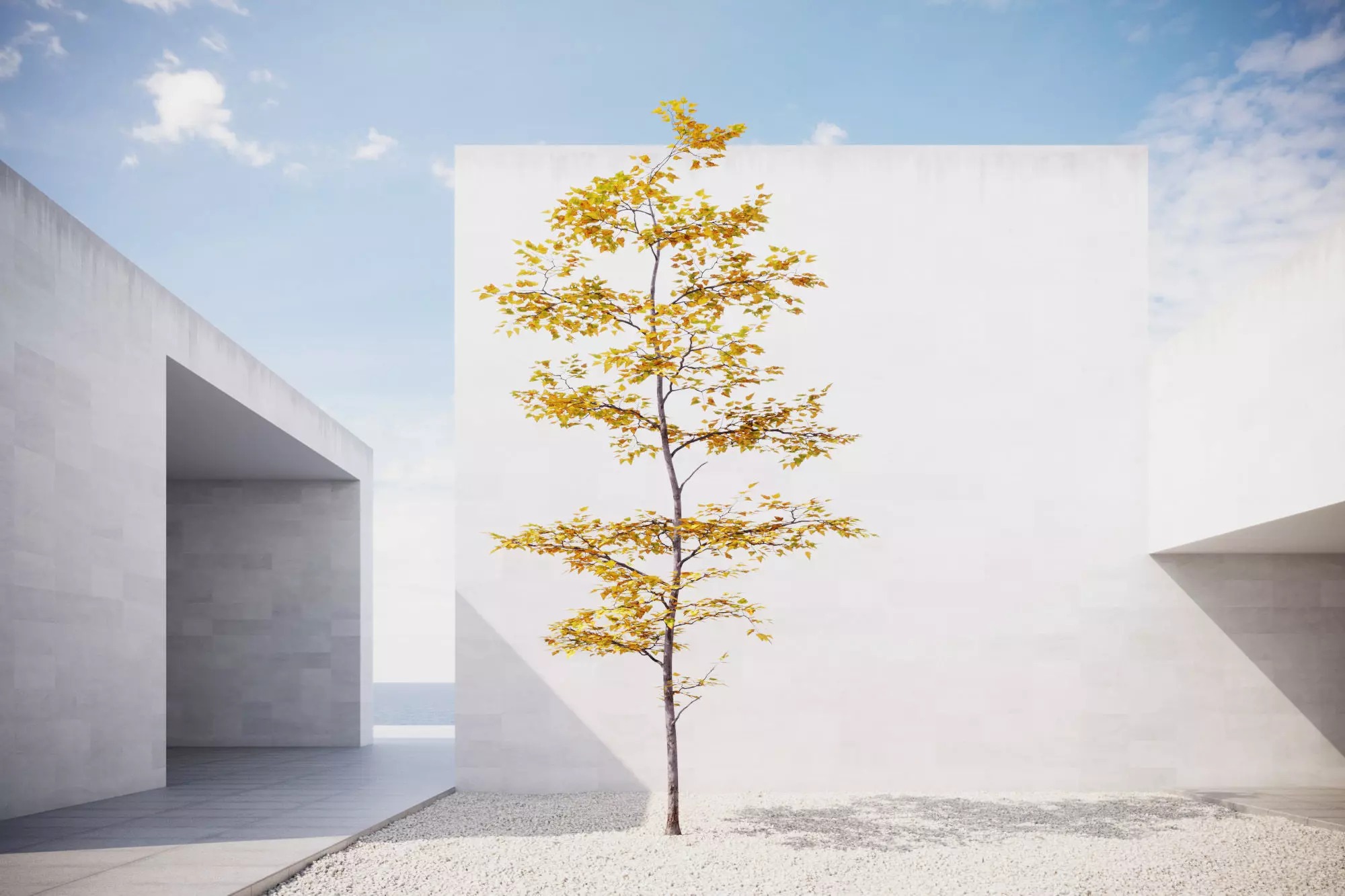 Small Autumn tree vpt026 3D model_0