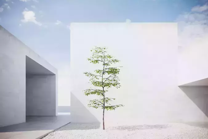 Small spring tree vpt025 3D model