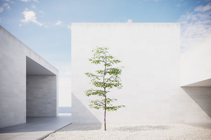 Small spring tree vpt025 3D model