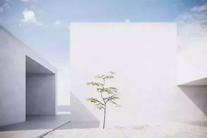 Small spring tree vpt023