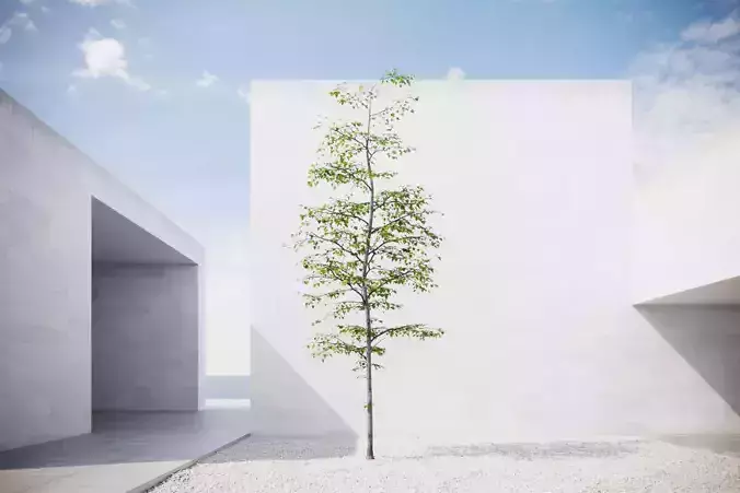 Small spring tree vpt022 3D model