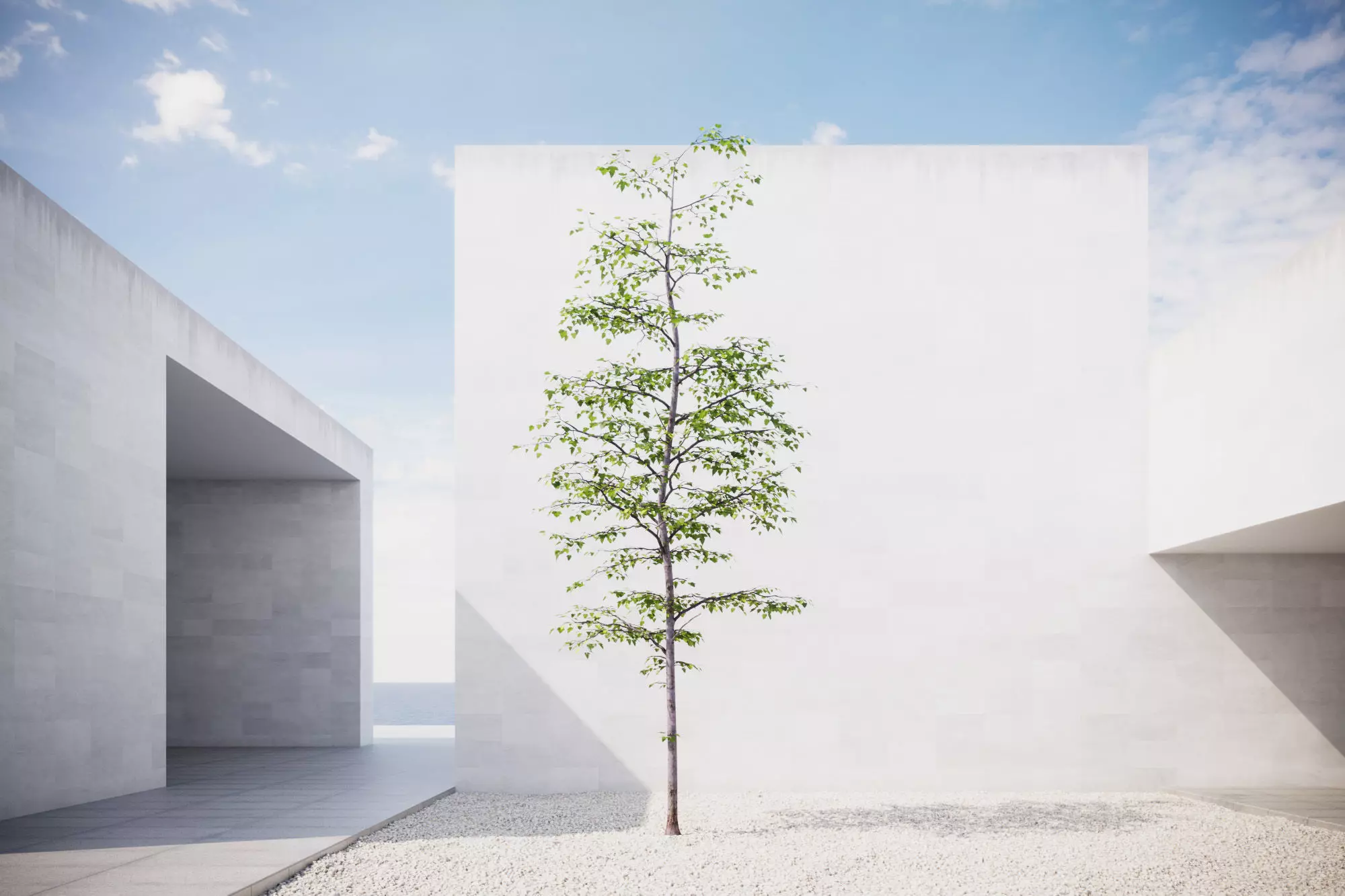 Small spring tree vpt022 3D model | CGTrader