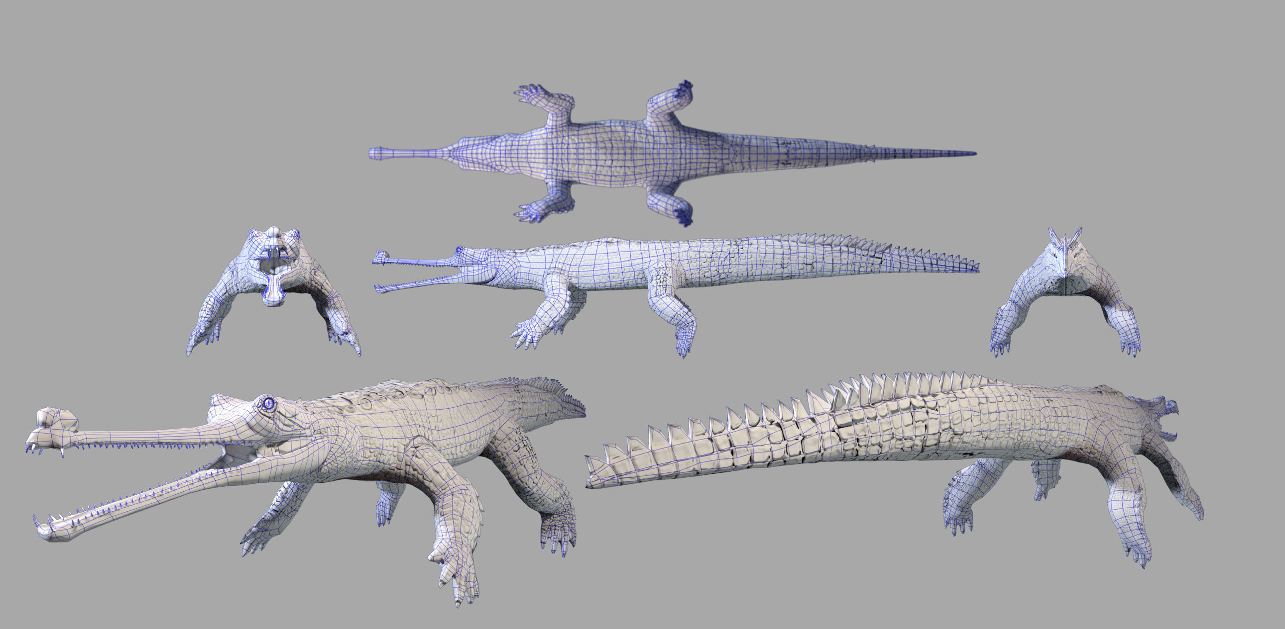 Gavial Gharial 3D model_7