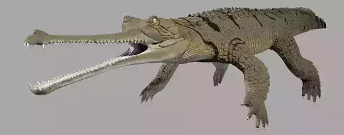 Gavial Gharial 3D model