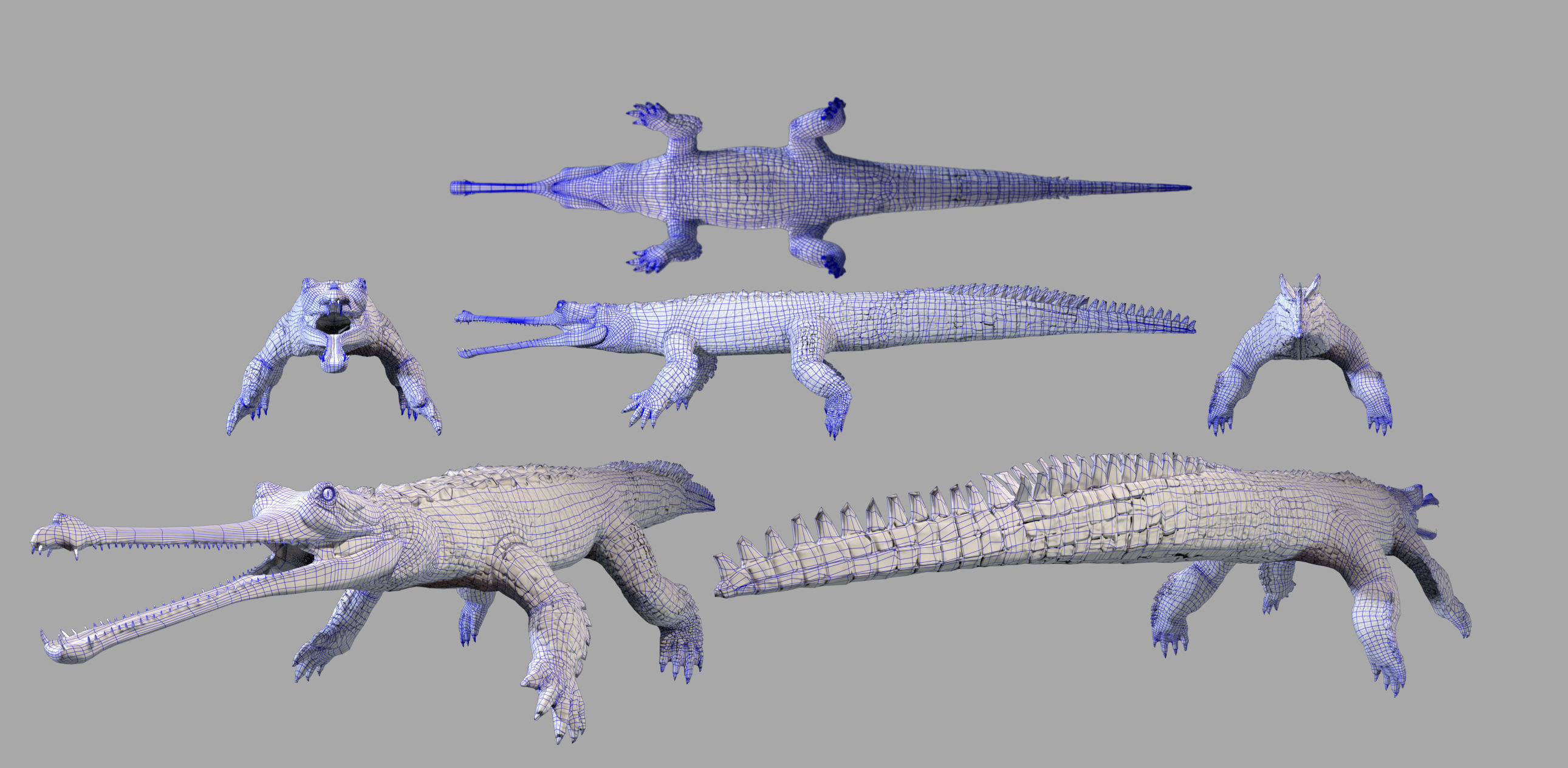 Gavial Gharial 3D model_13