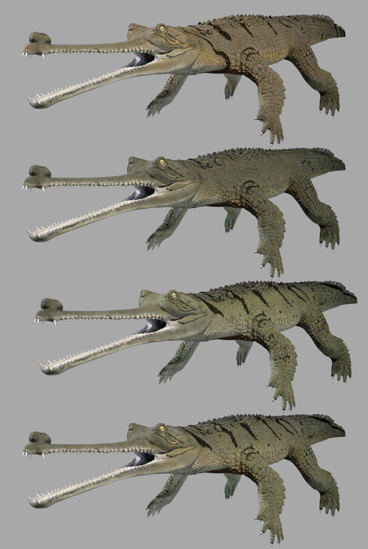 Gavial Gharial 3D model_11