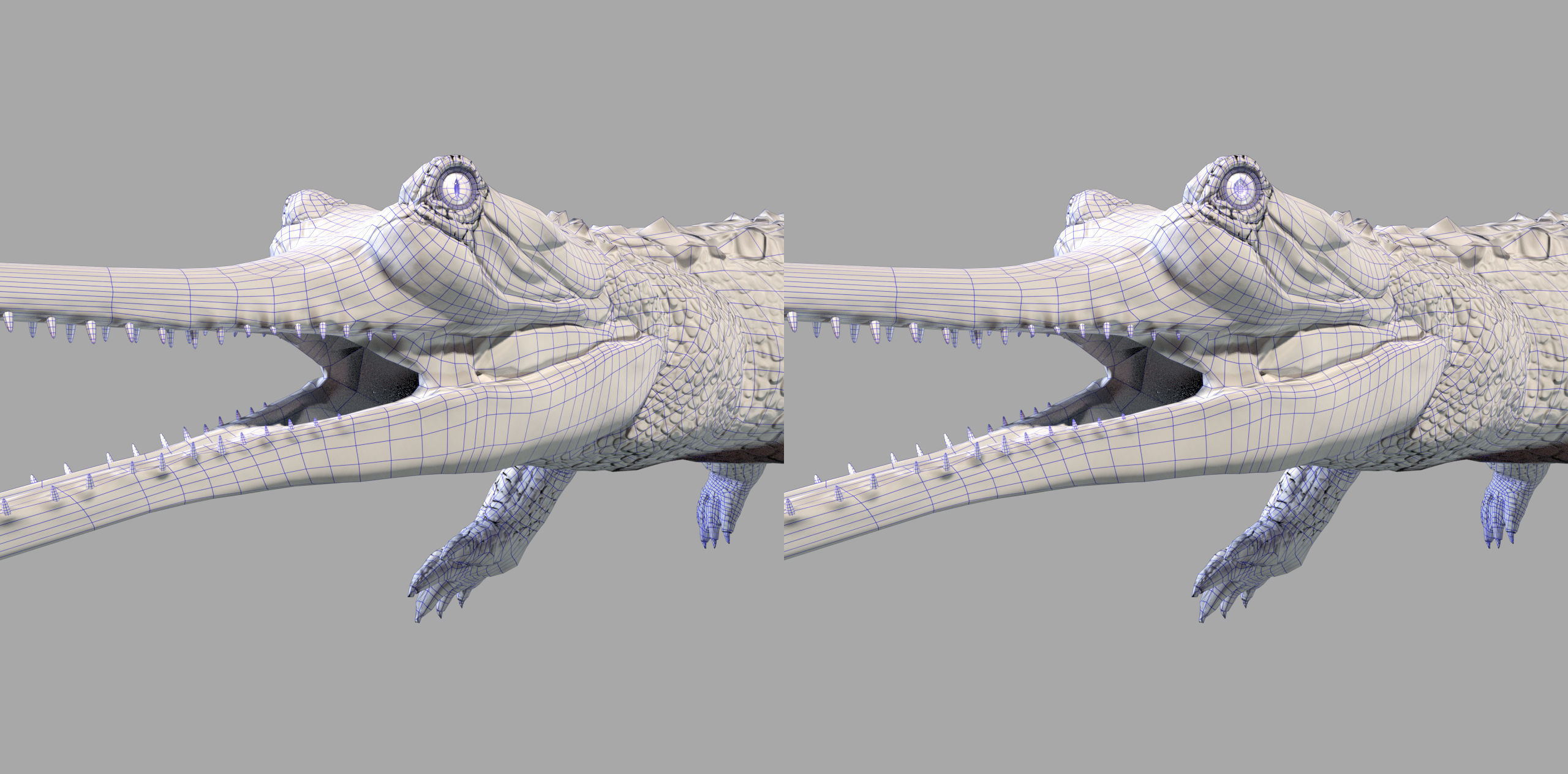 Gavial Gharial 3D model_10