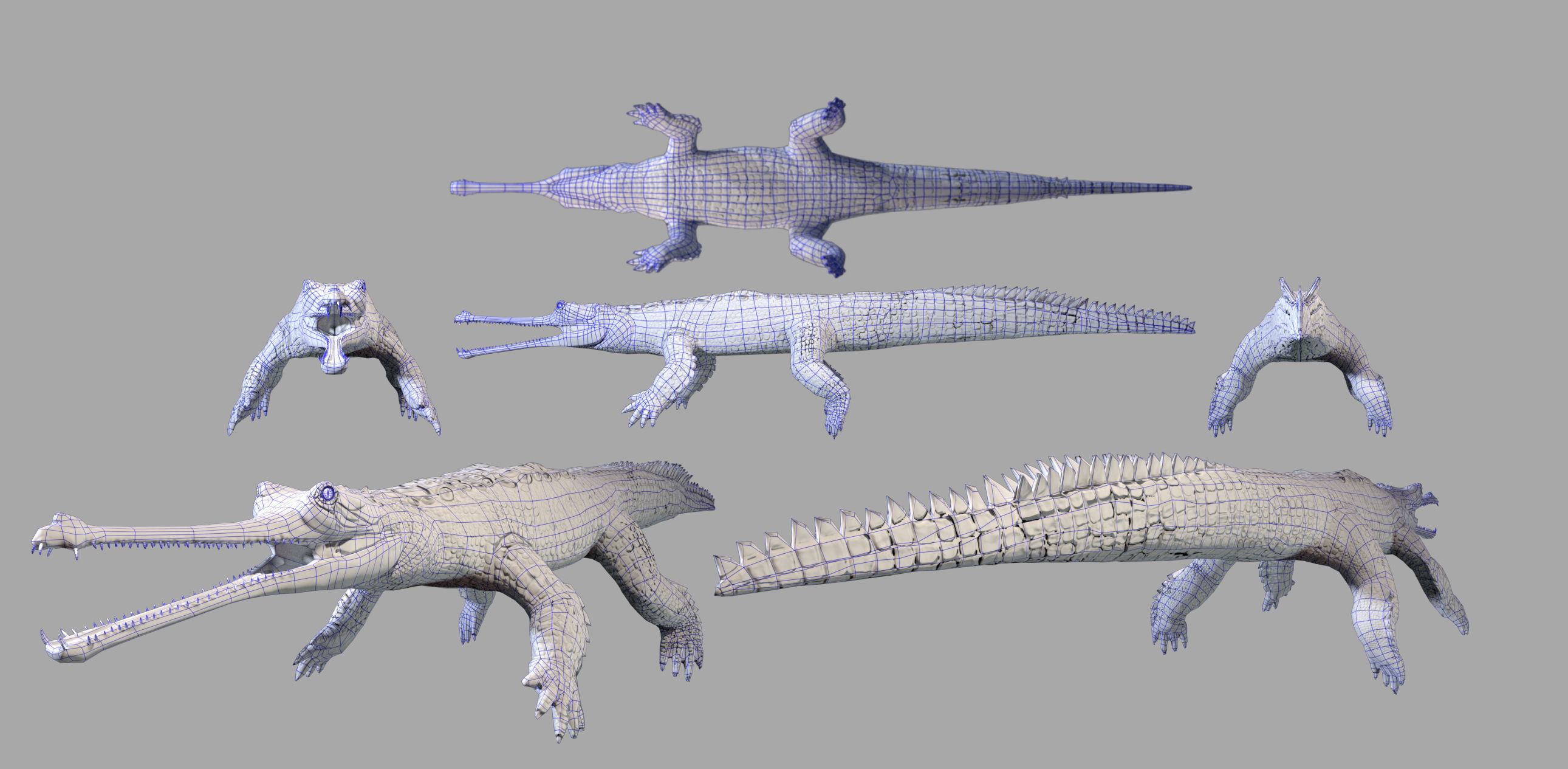Gavial Gharial 3D model_3