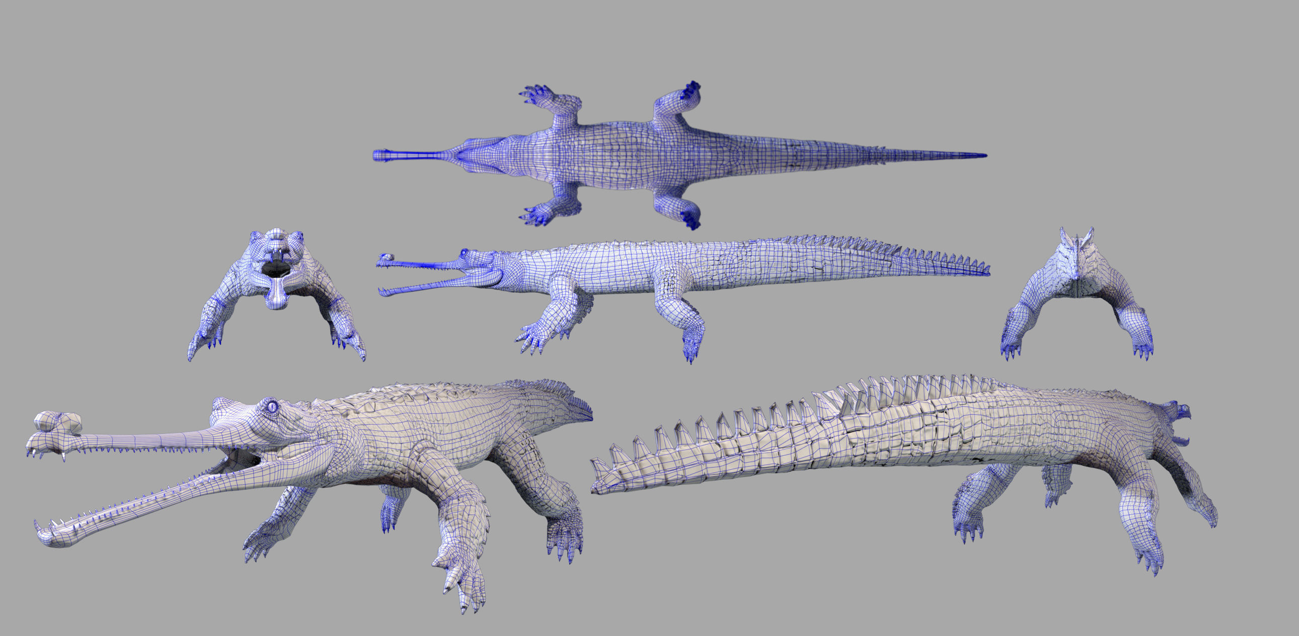 Gavial Gharial 3D model_14