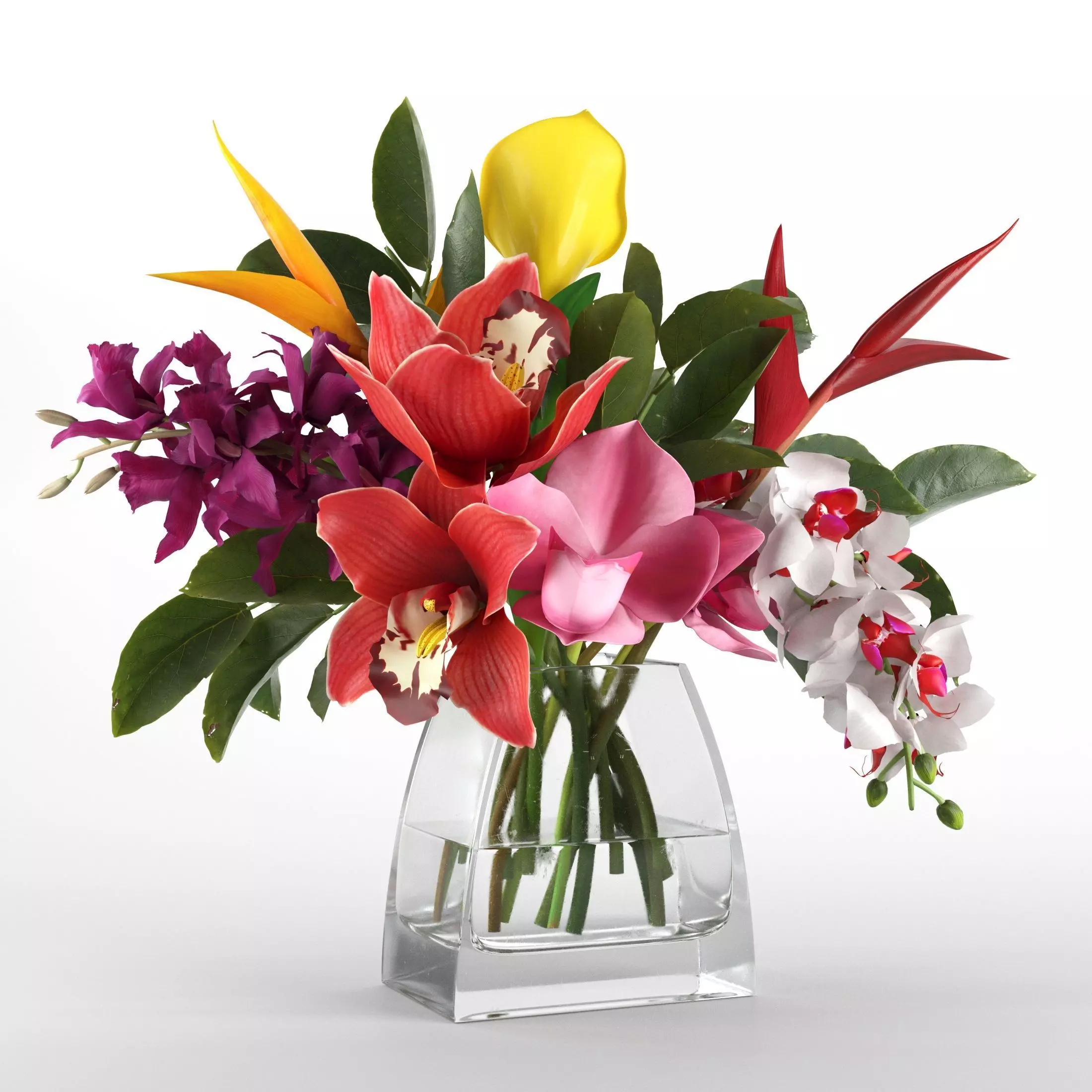 Glass Vases with Orchid Flowers 3D model