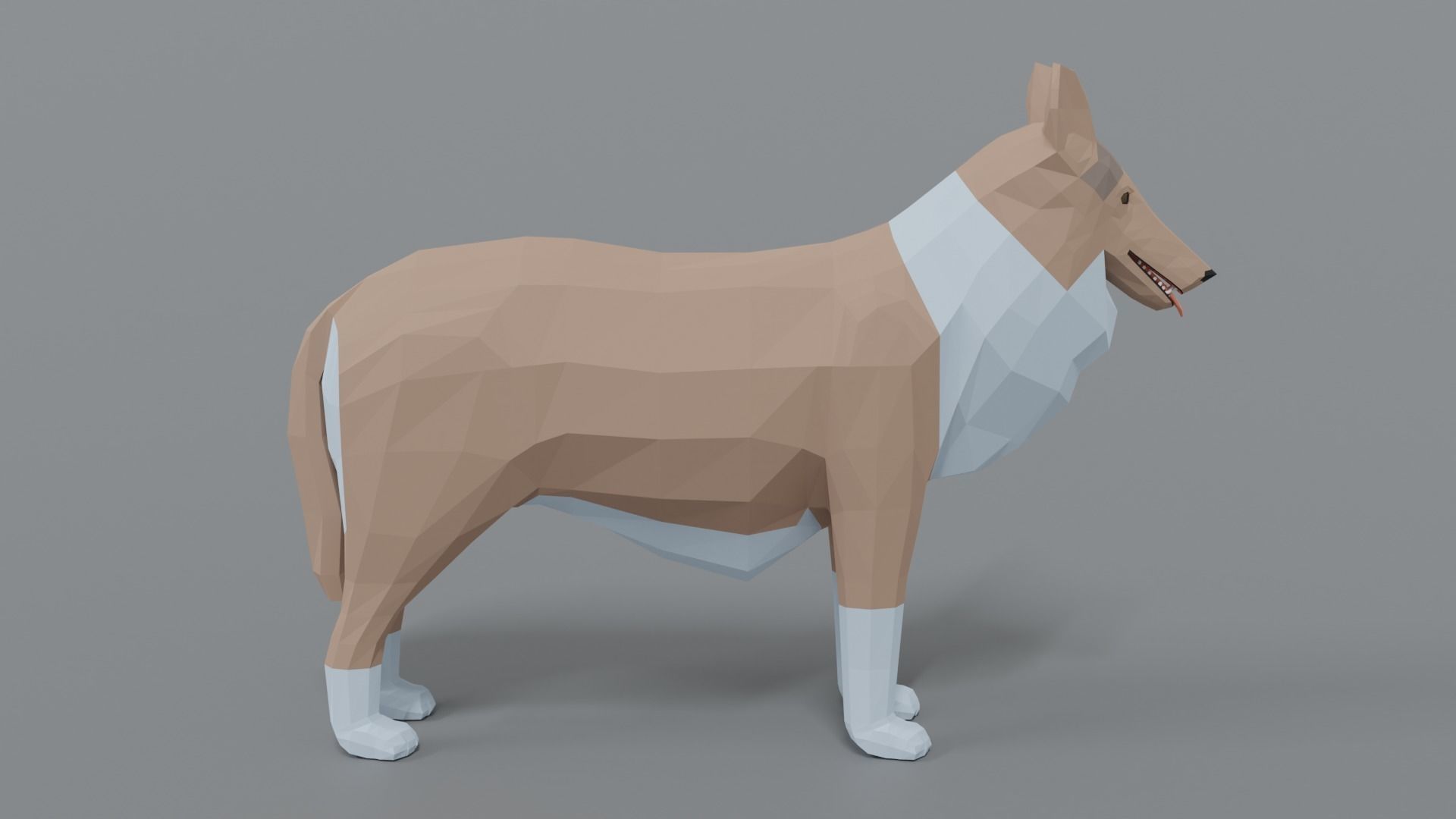 Low Poly Cartoon Rough Collie Dog Low-poly 3D model_5