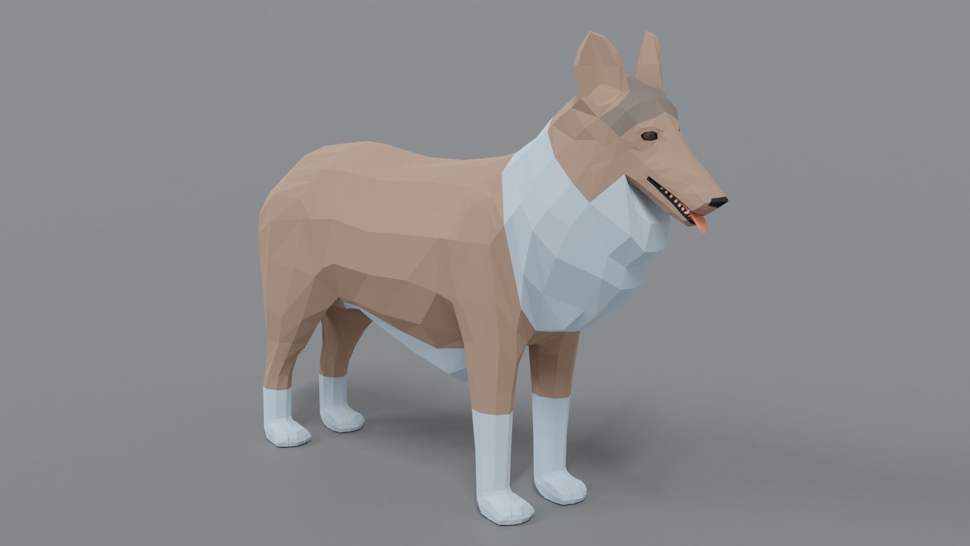 Low Poly Cartoon Rough Collie Dog Low-poly 3D model_6