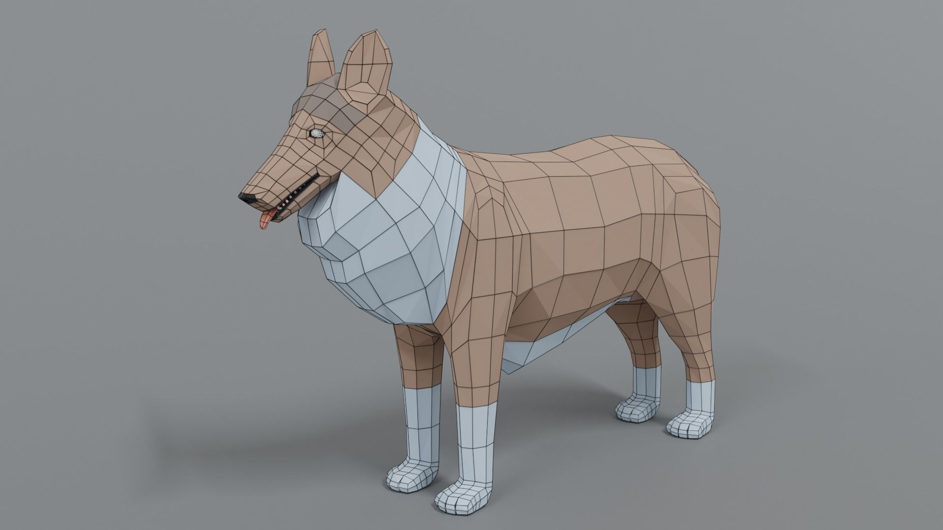 Low Poly Cartoon Rough Collie Dog Low-poly 3D model_9