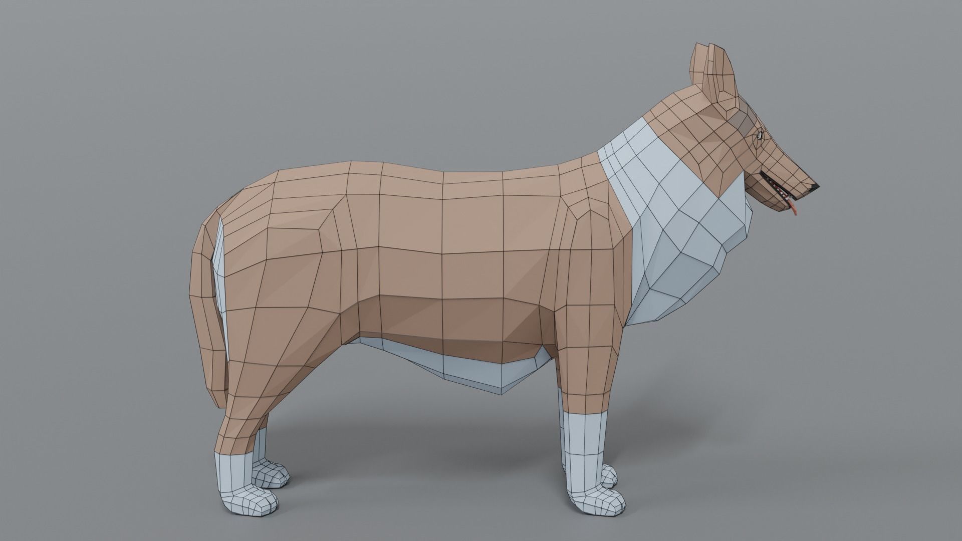 Low Poly Cartoon Rough Collie Dog Low-poly 3D model_14