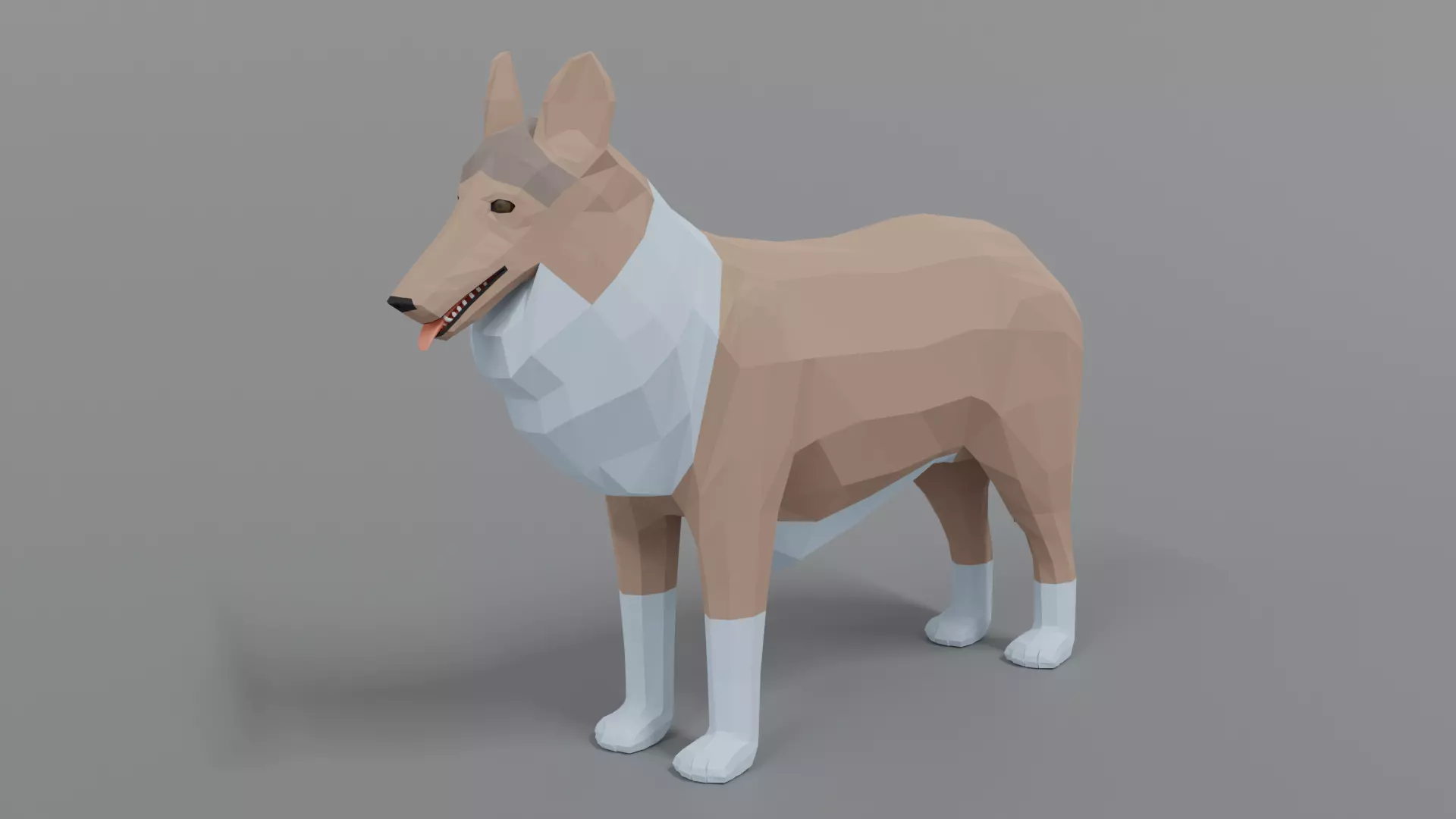 Low Poly Cartoon Rough Collie Dog Low-poly 3D model_0