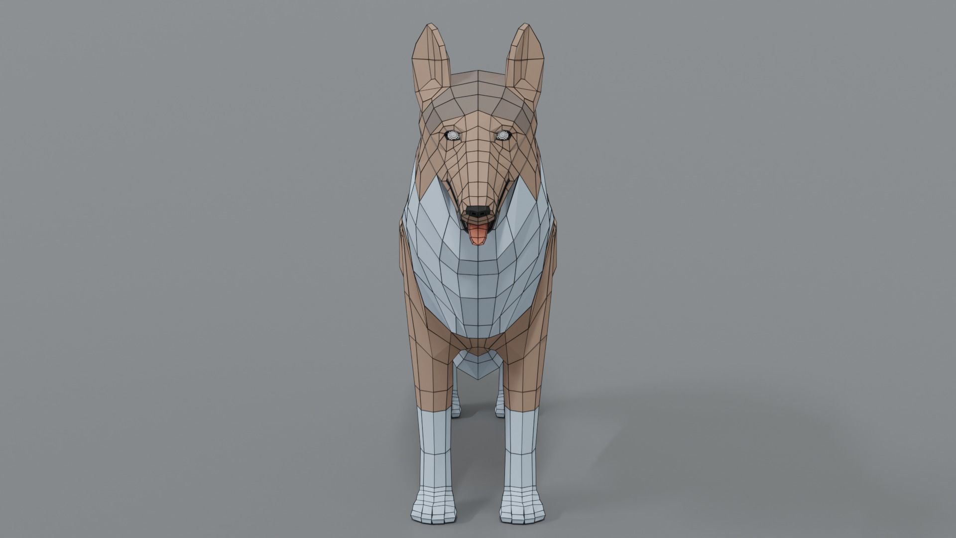 Low Poly Cartoon Rough Collie Dog Low-poly 3D model_16