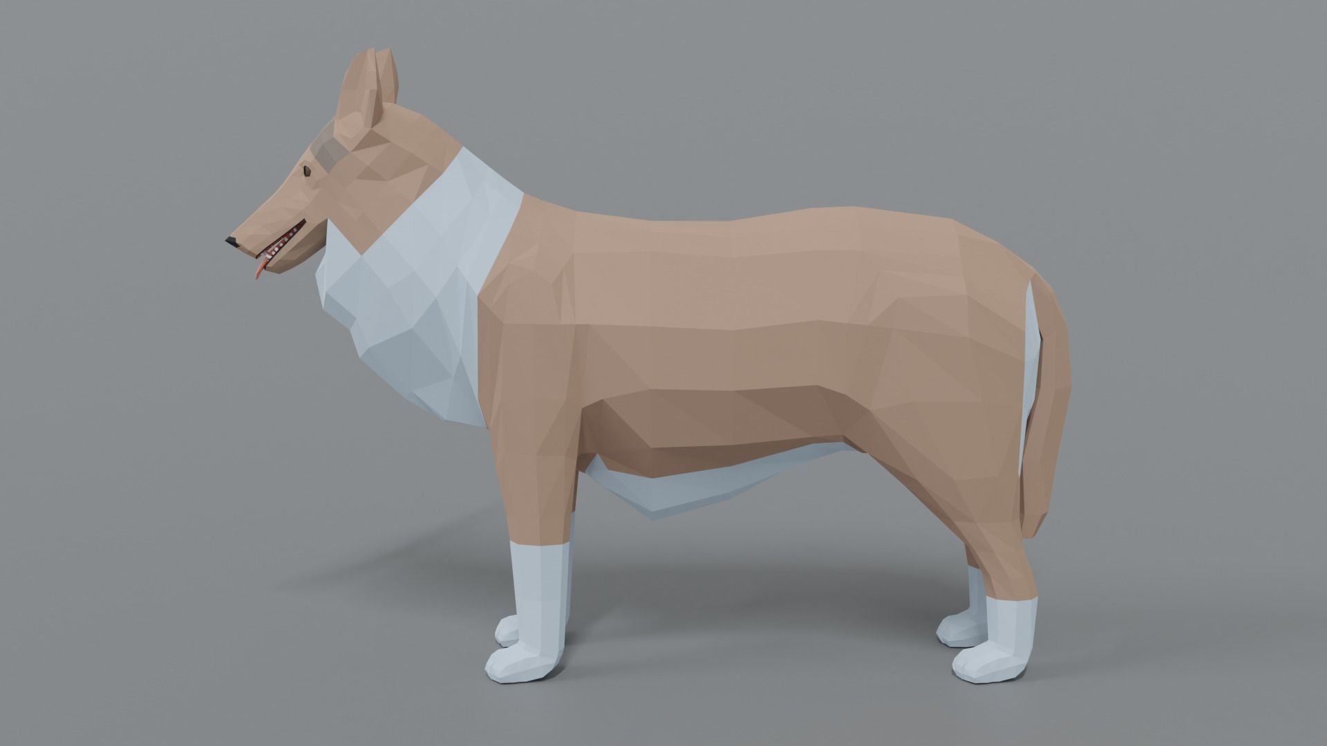 Low Poly Cartoon Rough Collie Dog Low-poly 3D model_1