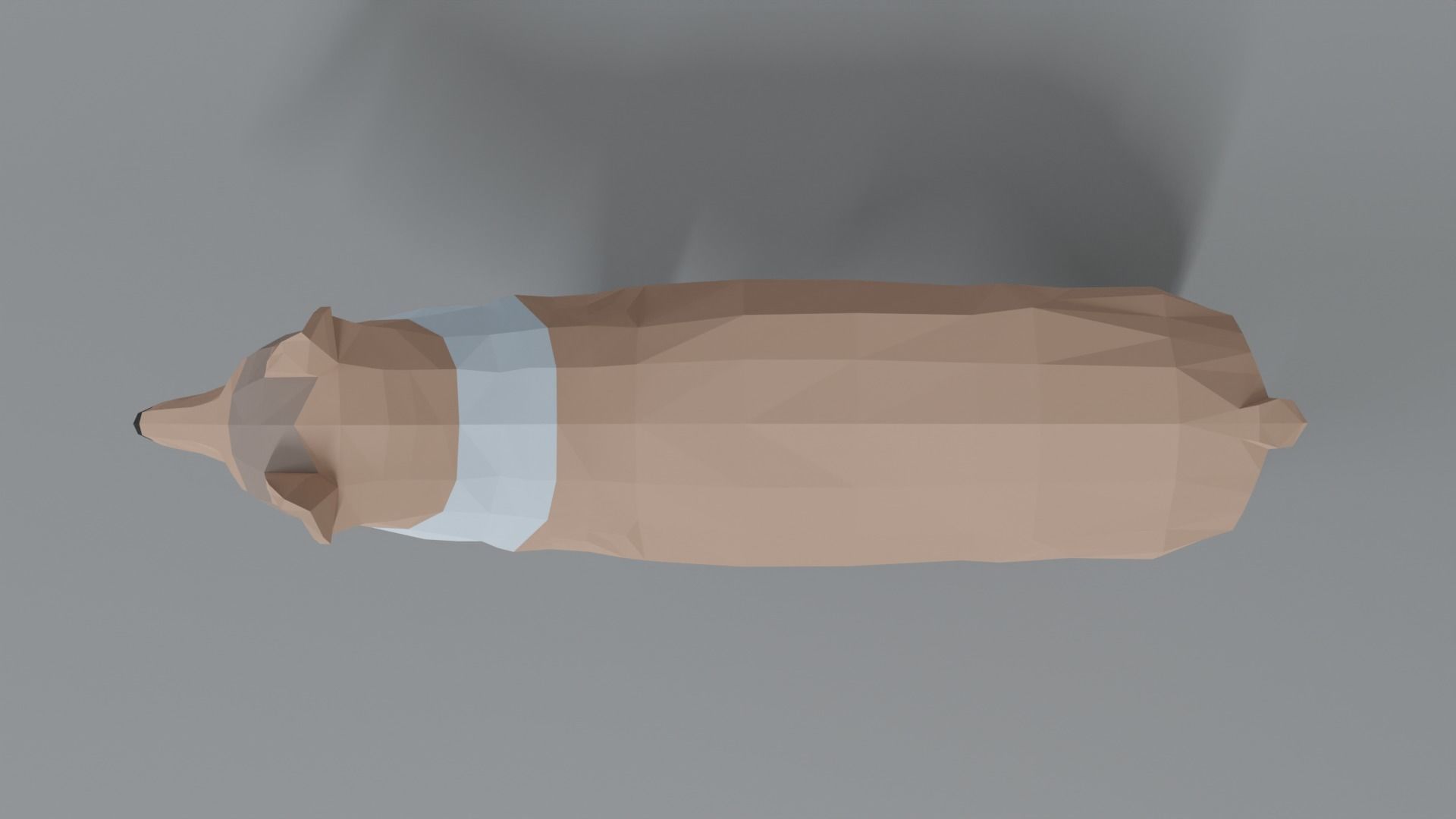 Low Poly Cartoon Rough Collie Dog Low-poly 3D model_8